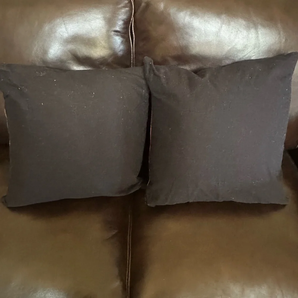 Crate & Barrel Black Red Embroidered Accent Pillows‎ Striking Design Set of 2
